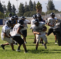 Summer Try Out Information